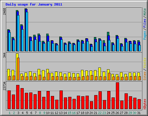 Daily usage for January 2011