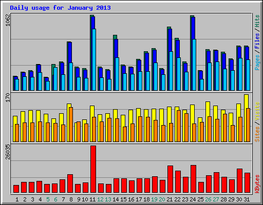 Daily usage for January 2013