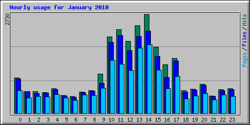 Hourly usage for January 2010