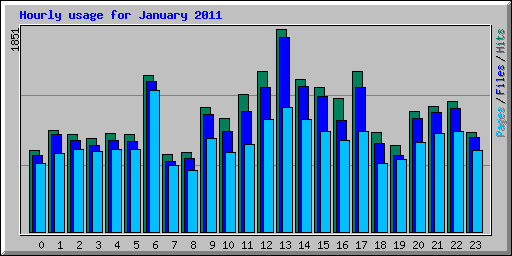 Hourly usage for January 2011
