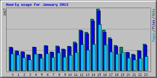 Hourly usage for January 2013