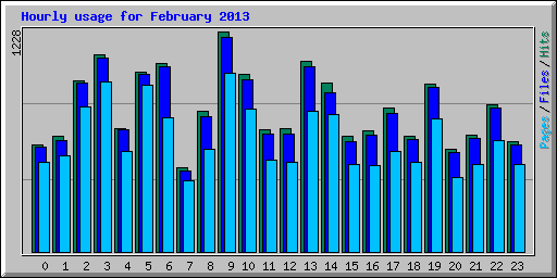 Hourly usage for February 2013
