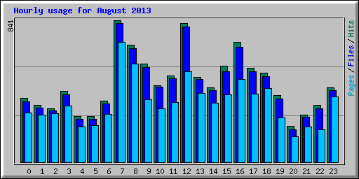 Hourly usage for August 2013